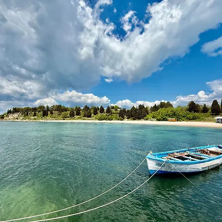 Vibes 4you, Sunny ساني بيتش