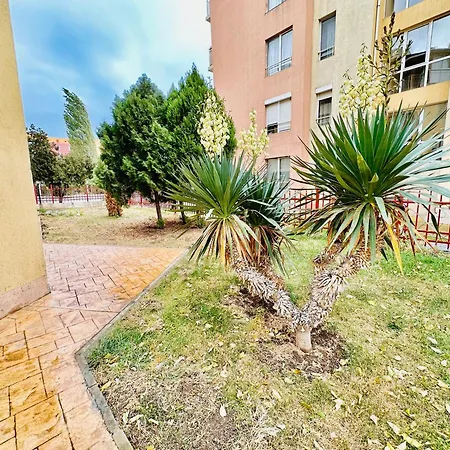 Vibes 4you, Sunny Slantschew brjag