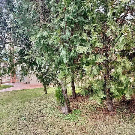 Apartment Vibes 4you, Sunny