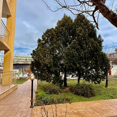 Vibes 4you, Sunny Slantschew brjag