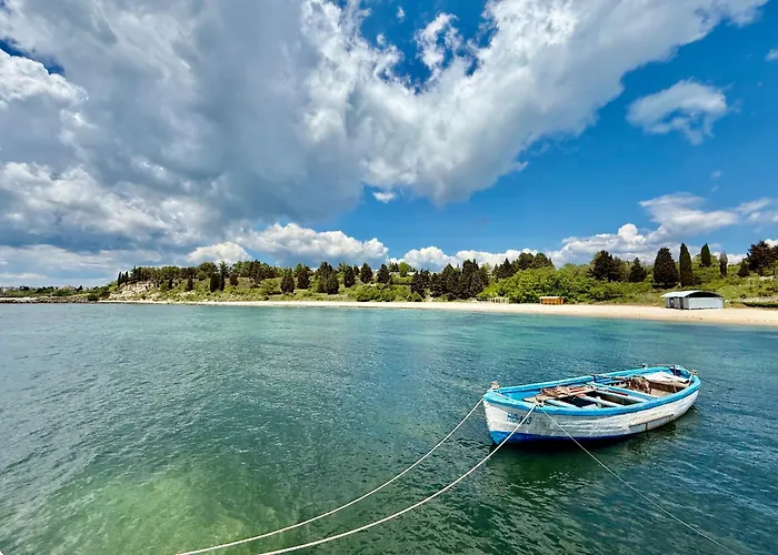 Vibes 4you, Sunny Slantschew brjag