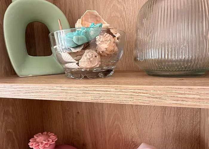 Vibes 4you, Sunny Slantschew brjag