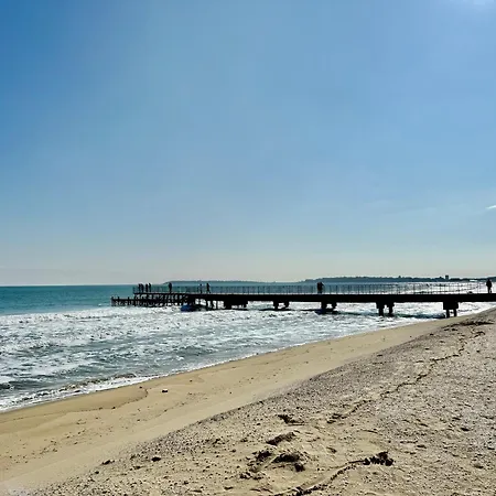 Vibes 4you, Sunny * Slantschew brjag