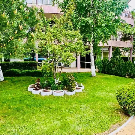 Vibes 4you, Sunny * Slantschew brjag