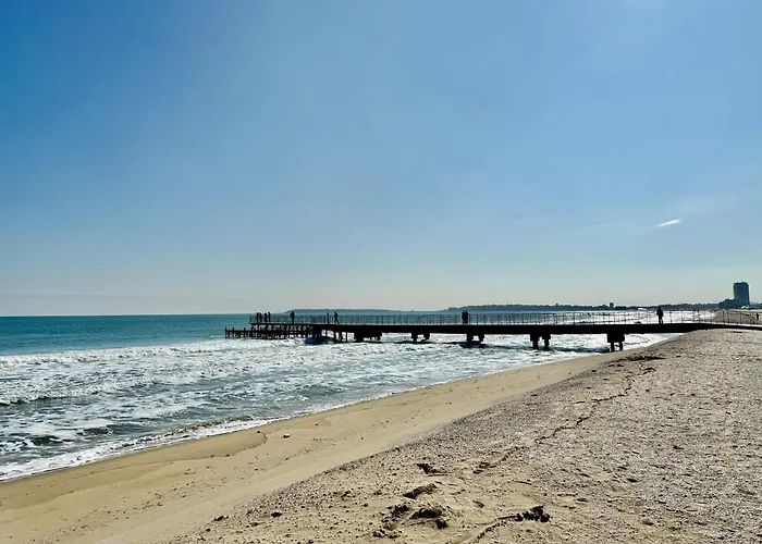 Vibes 4you, Sunny * Sunny Beach