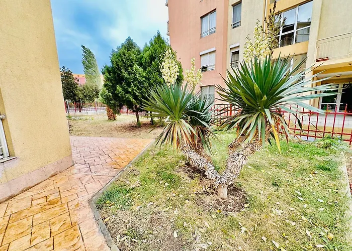 Vibes 4you, Sunny Sunny Beach