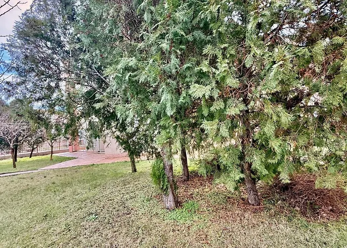 Апартаменти Vibes 4you, Sunny